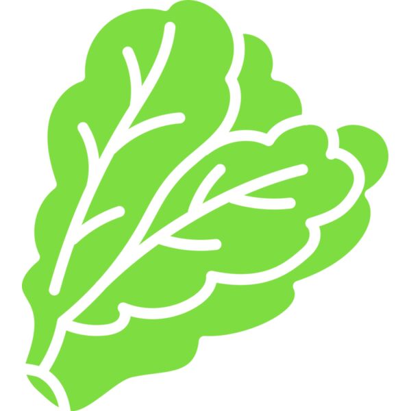 Lettuce Thumbnail