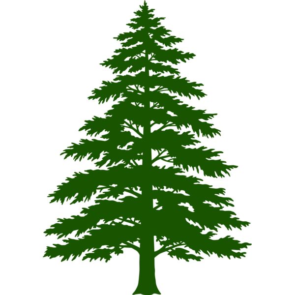 Tree Plant 3 Thumbnail