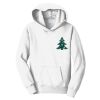 Youth Fan Favorite Fleece Pullover Hooded Sweatshirt Thumbnail